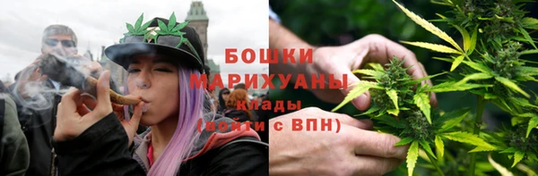 прущая мука Инсар