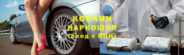 прущая мука Инсар
