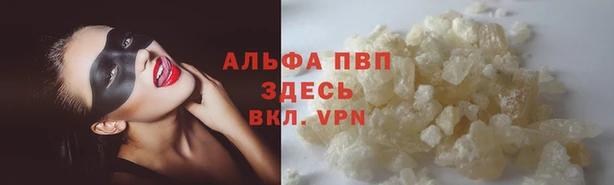 дмт Иннополис