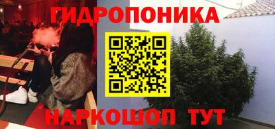бошки Заводоуковск