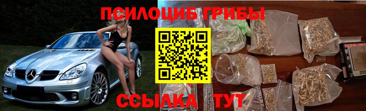 Псилоцибиновые грибы Cubensis  хочу наркоту  Псилоцибиновые грибы мицелий  Солнечногорск  Вход с VPN 